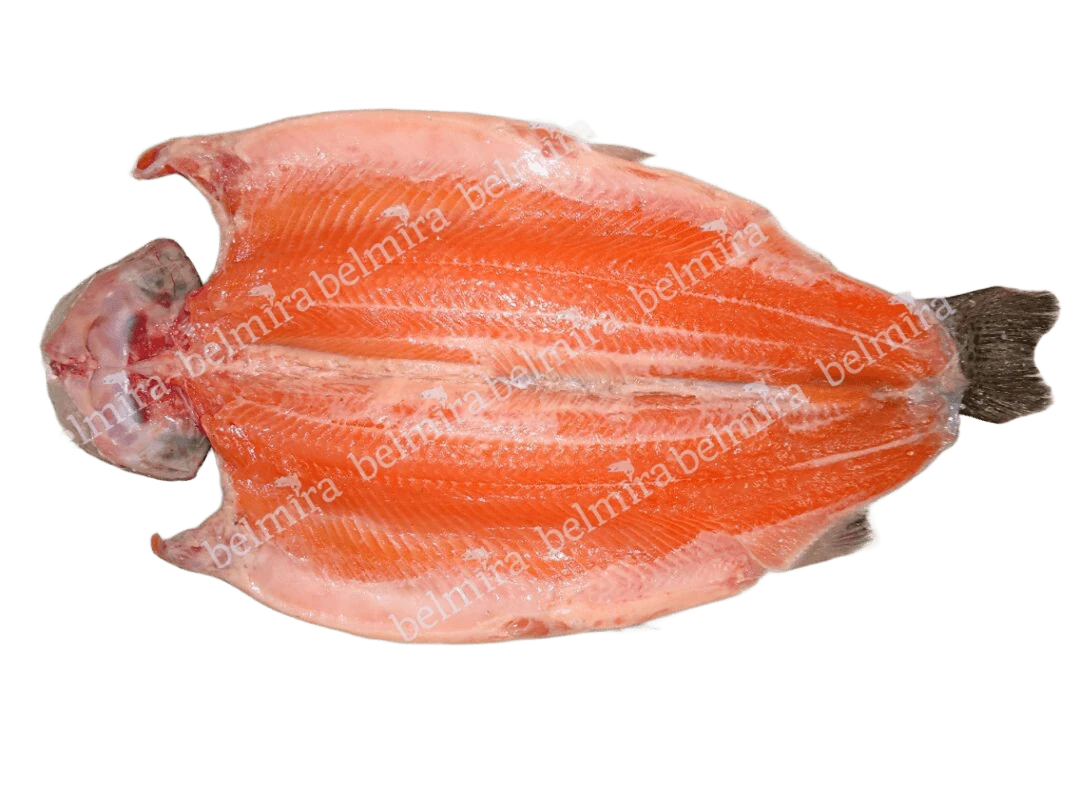 Mariposa con Cabeza