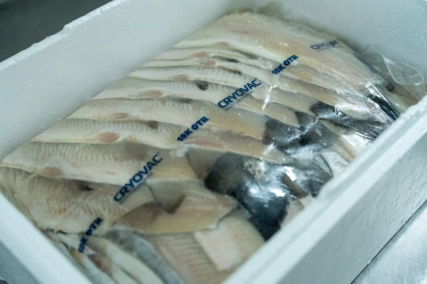Filete de trucha arcoíris blanca